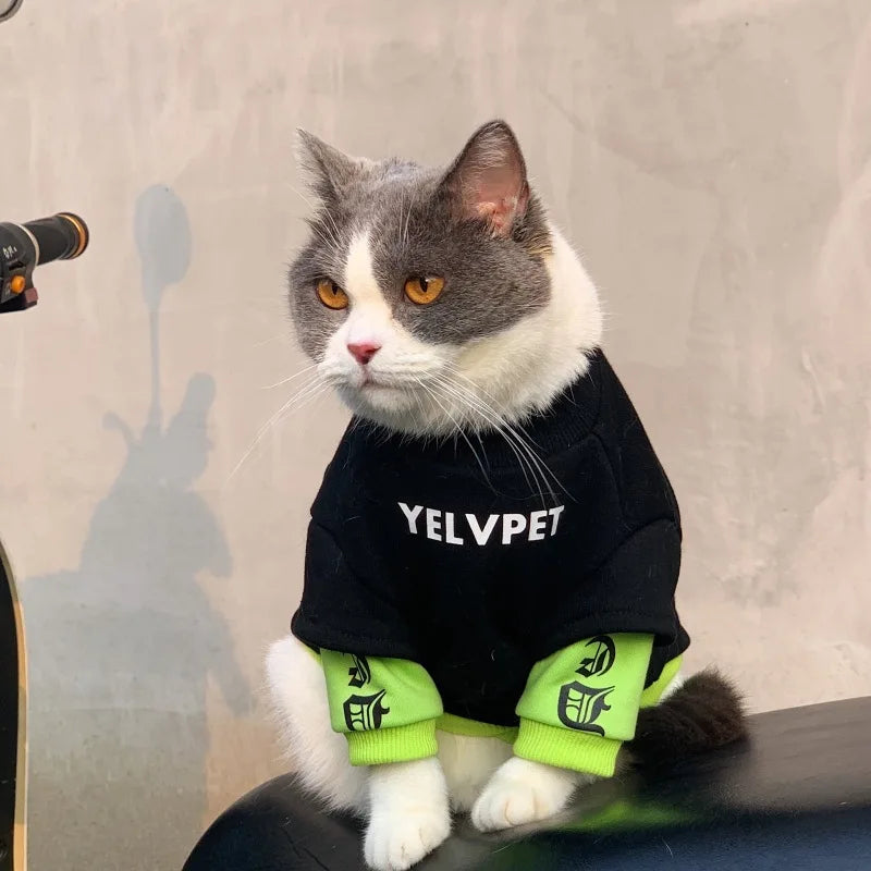 Pet Hoodies for Dogs Cats Spring Dog Clothes Chihuahua Bichon Poodle Dog Sweatshirt Solid Montage Puppy Clothing Pet Costumes