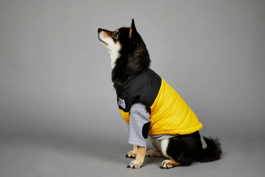 Autumn Winter Pet Dog Down Jacket Clothes for Small Medium Large Dogs Warm Thick Dog Vest French Bulldog Puppy Clothes