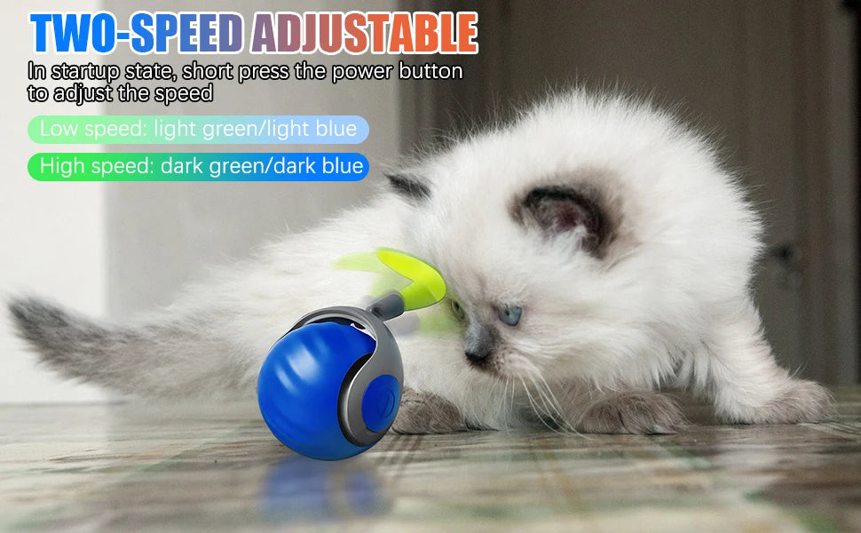 New Interactive Cat Toys Ball Auto Electric Rolling Ball Toys for Cat Kitty Pet Smart Automatic Teaser USB Rechargeable Cat Toy
