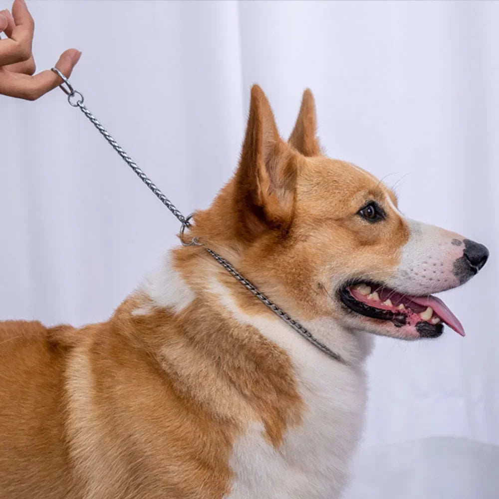 Copper Snake P Chain Dog Collar Small Puppy Large Dog Collar Necklace Choker Pet Training Supplies Slip Collar Gold Sliver Black