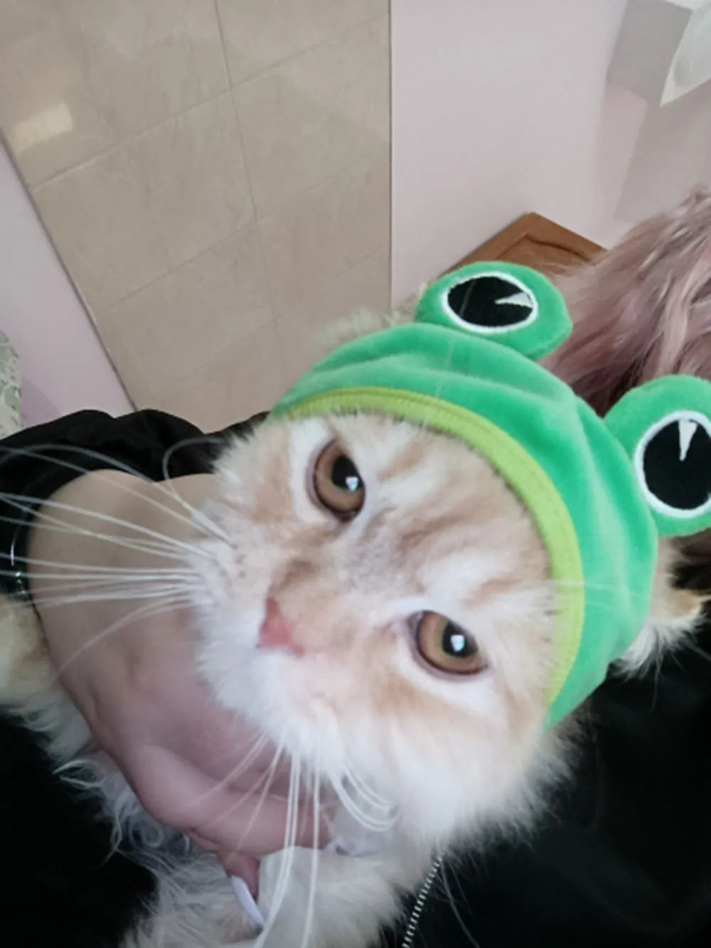 Halloween Easter Pet Costume Novelty Crab Lobster Frog Hat for Cat Puppy Hat Dog Cap Soft Headgear for Birthday Party Photo Prop