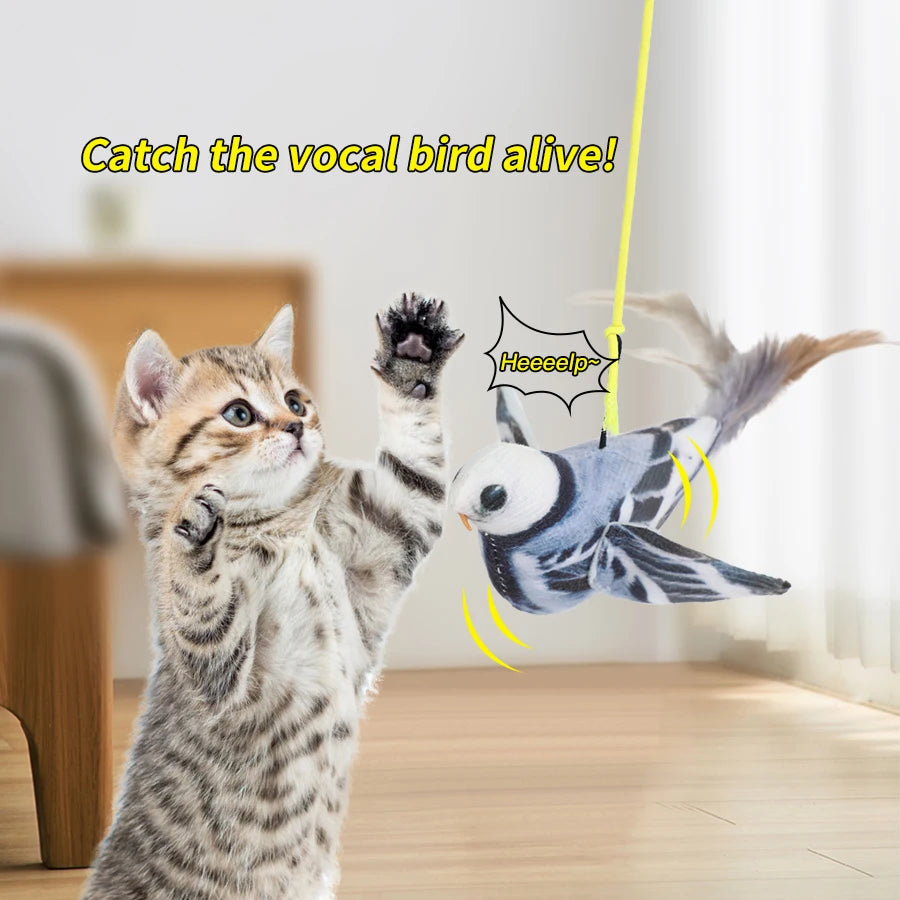 Random color Queaky Feathered Bird Cat Toy - Interactive Play and Chirp for Kittens, No Battery Needed, Ideal for Medium Breeds