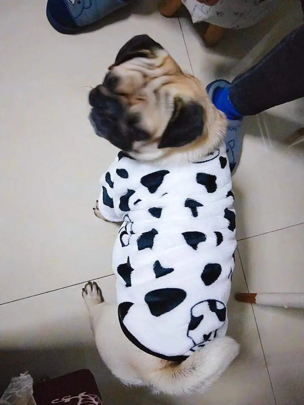 Warm Dog Clothes Cute Print Puppy Pet Clothing French Bulldog Hoodie Winter Dog Pajamas Sweater Coat for Small Medium Dogs Cats