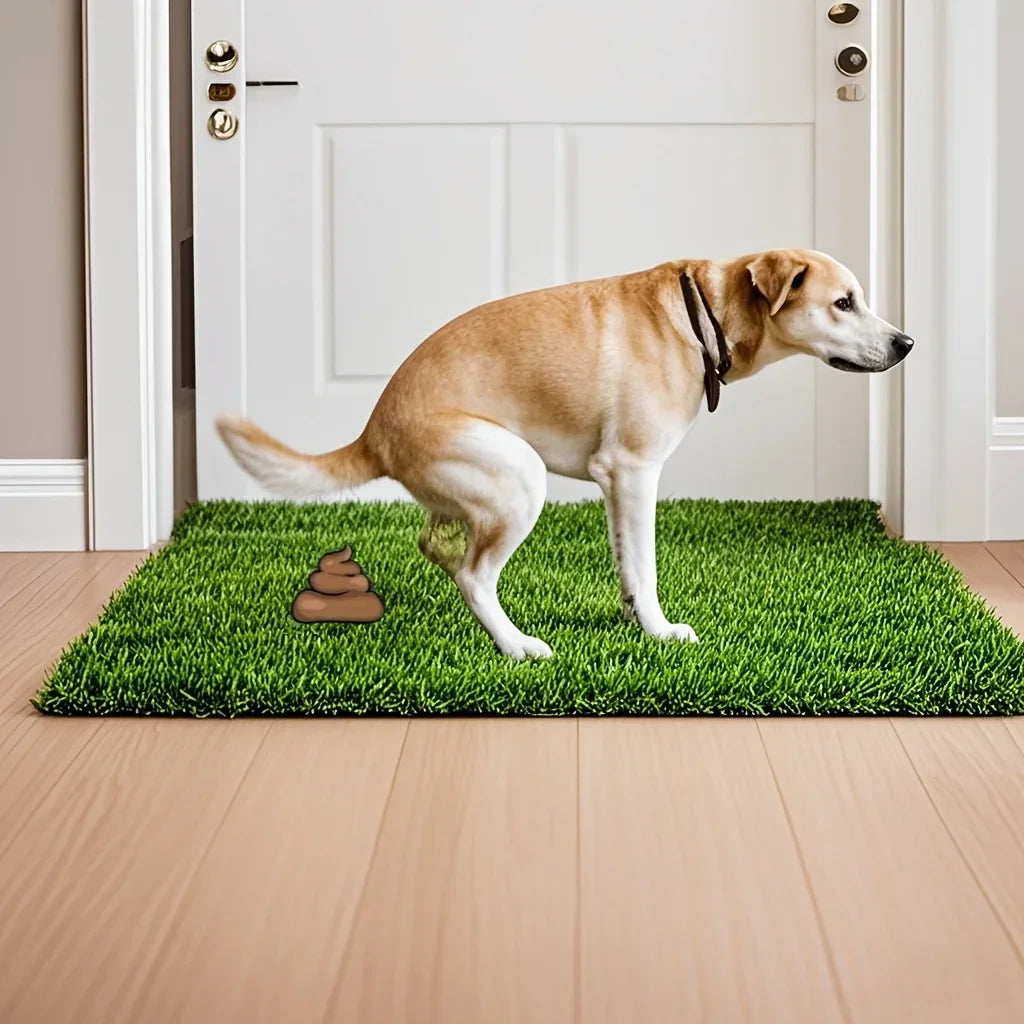 Reusable & Washable Dog Grass Mat Artificial Lawn for Pet Training with Non-Slip Backing, Perfect for Indoor or Outdoor Use