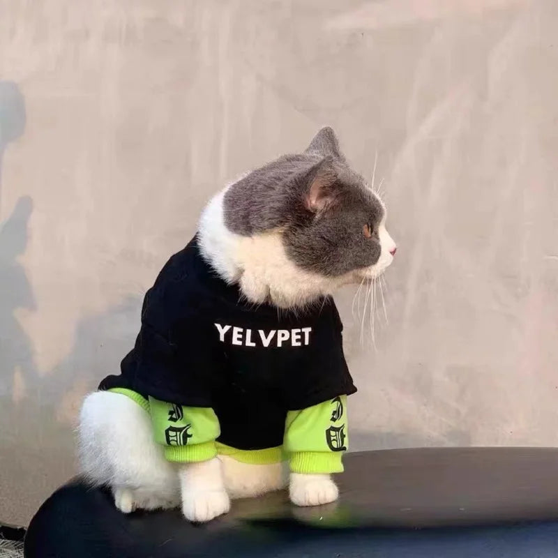 Pet Hoodies for Dogs Cats Spring Dog Clothes Chihuahua Bichon Poodle Dog Sweatshirt Solid Montage Puppy Clothing Pet Costumes