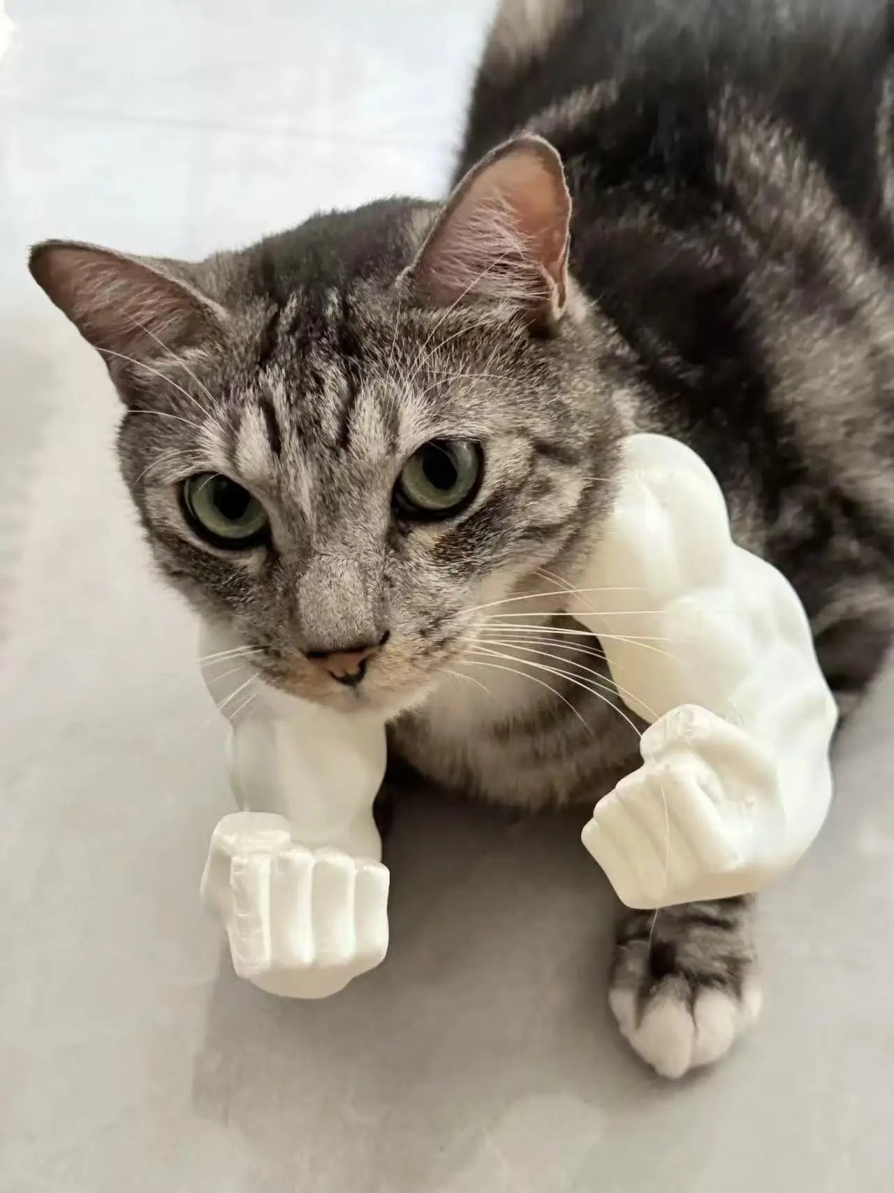 Cat Muscle Arms With Muscle 3D Printed Funny Cat's Neck Giant Arm Creative Arm For Pet Cosplay Halloween Costume Party Accessory