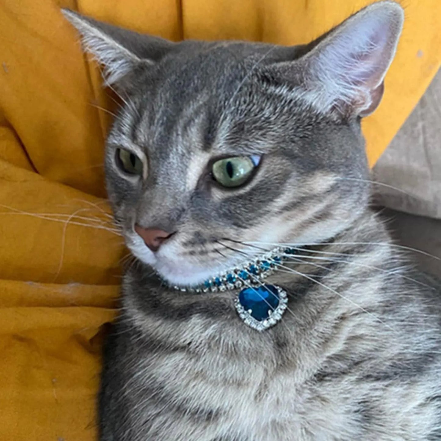 Dog Cat Rhinestone Diamante Collar Necklace Puppy Crystal Bling Pet Accessories For Puppy Kitten Crystal Pendant Diamond Collars