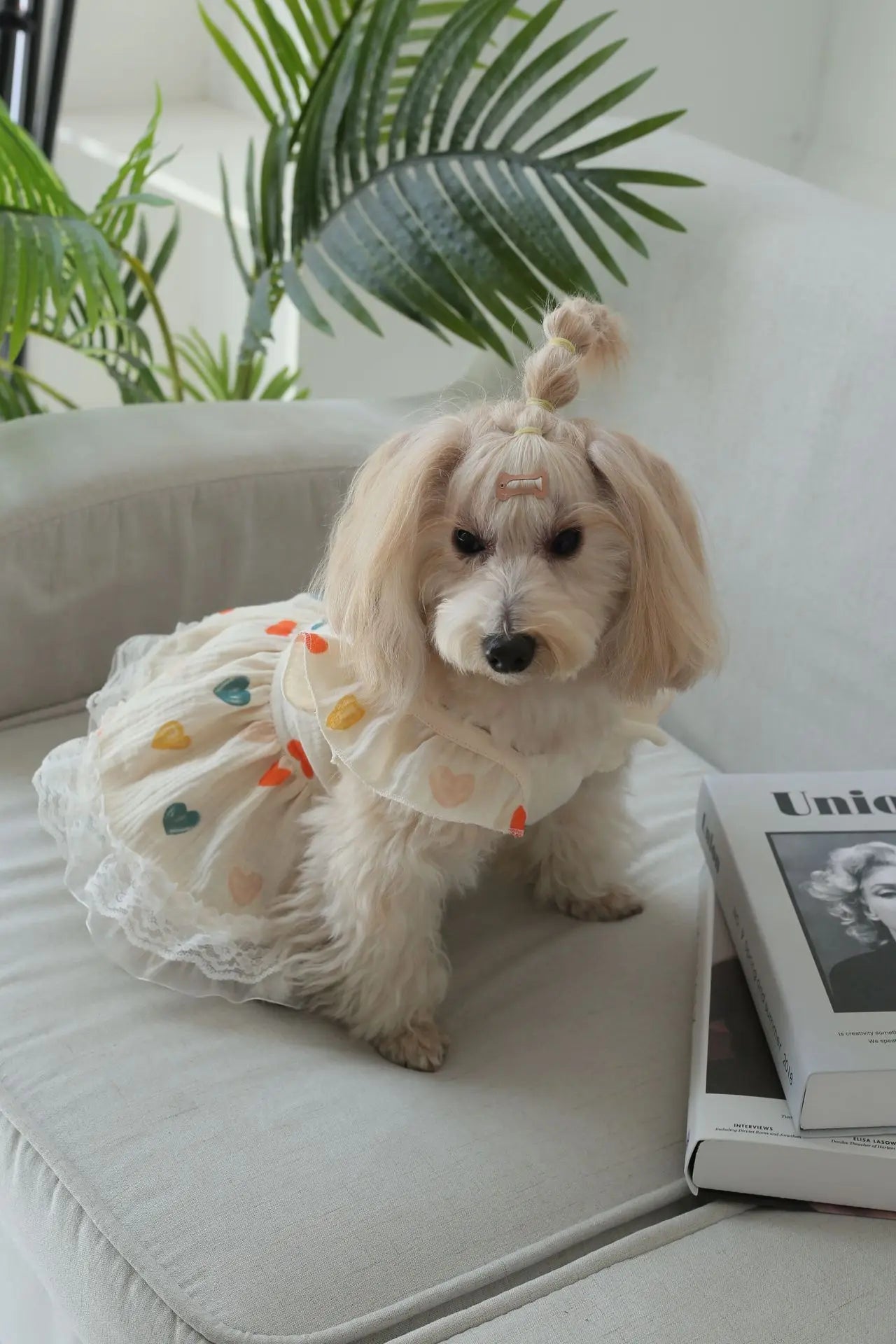 Pet Light Yellow Heart-shaped Little Fly Sleeve Dress Cat and Dog Four Season Vest Puppy Clothes Dog Dresses for Small Dogs