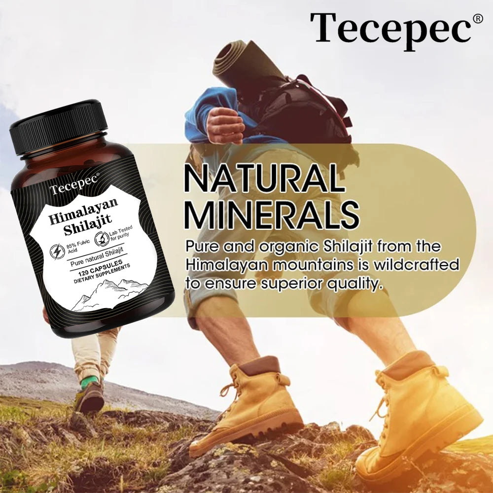 Shilajit Extract - Contains Trace Minerals, Supports Brain, Energy, Muscle, Heart Health, Antioxidants, 120 Capsules