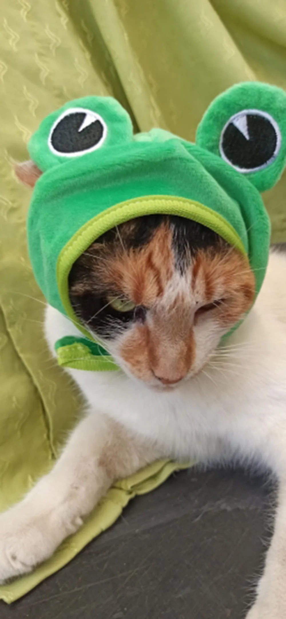 Halloween Easter Pet Costume Novelty Crab Lobster Frog Hat for Cat Puppy Hat Dog Cap Soft Headgear for Birthday Party Photo Prop