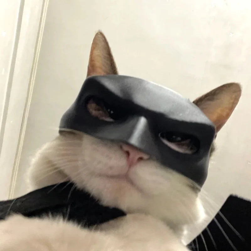 New Bat Cat Avenger Mask 3d Printed Cosplay Costume Helmet Toy Halloween Party Headwear Pet Dog Mask Helmet Prop