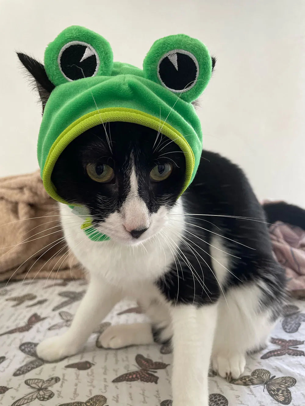 Halloween Easter Pet Costume Novelty Crab Lobster Frog Hat for Cat Puppy Hat Dog Cap Soft Headgear for Birthday Party Photo Prop