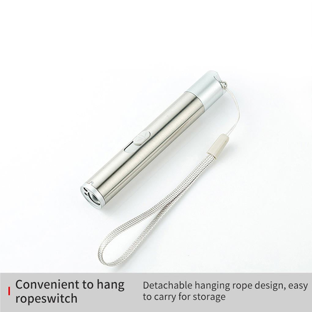 Pointers USB Charging Rechargeable 3-in-1 Flashlight Red Camping Lamp Multifunctional Toy UV Props Pet Training