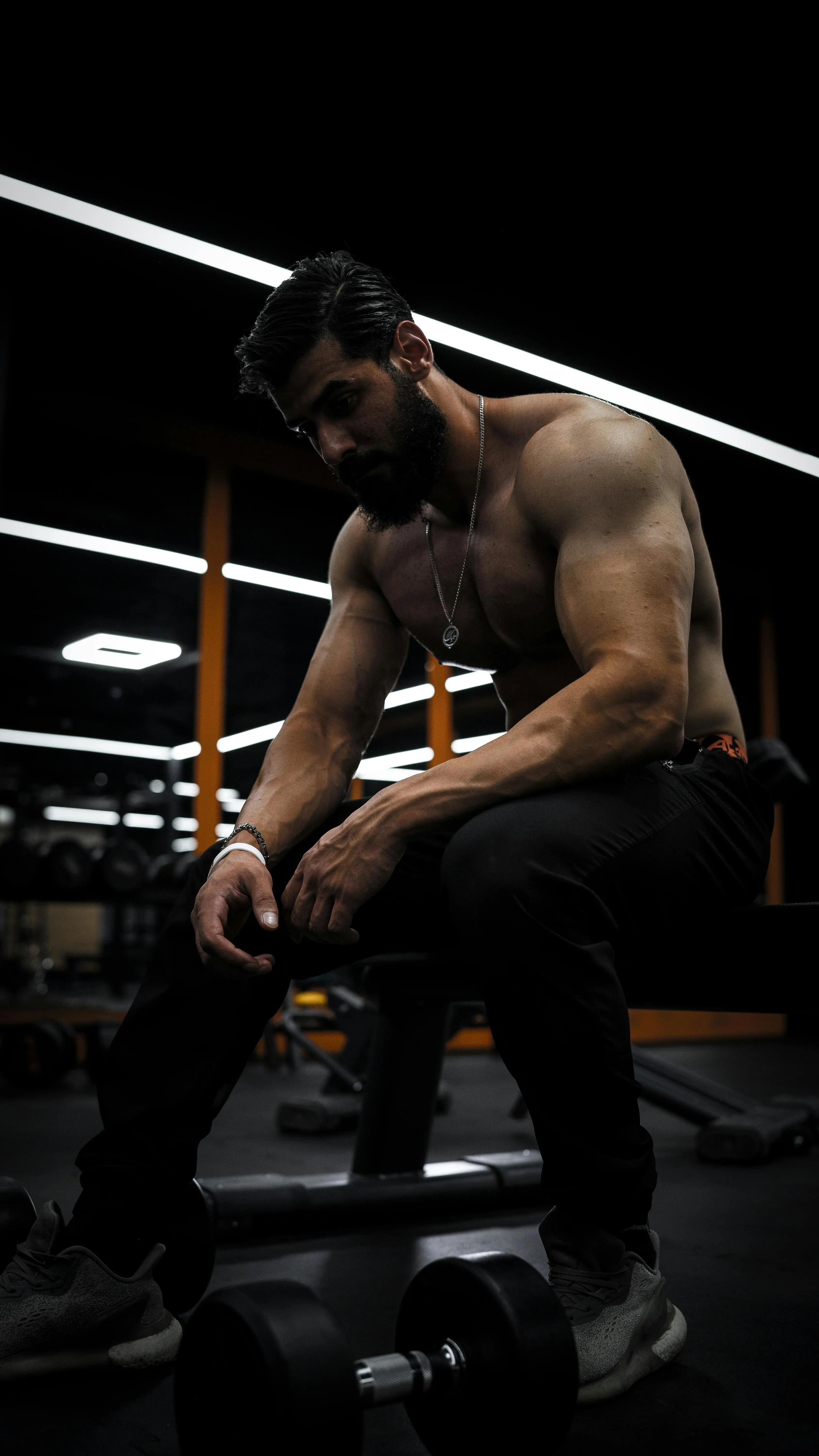 The Ultimate Guide to Dumbbell Workouts: Full-Body Plans & Routines for Beginners 2026 Nova Trendz