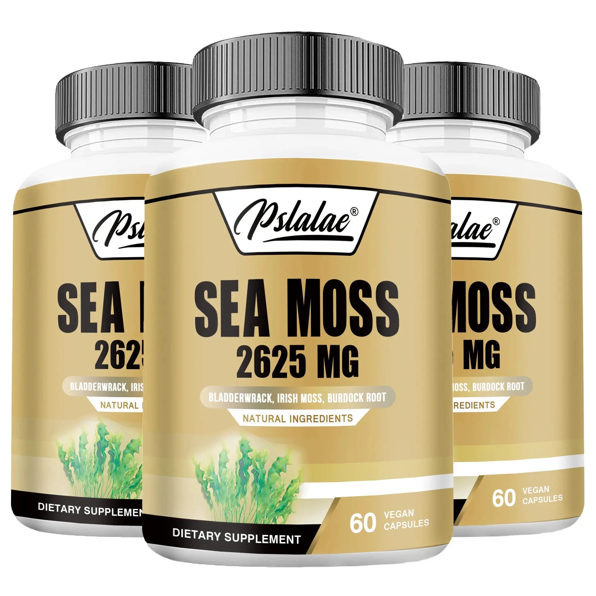 Sea Moss - Energy Nutrition for Men and Women, Supports Immunity, Muscle Mass Endurance, Increases Vitality - 60 Capsules Nova Trendz