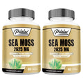 Sea Moss - Energy Nutrition for Men and Women, Supports Immunity, Muscle Mass Endurance, Increases Vitality - 60 Capsules Nova Trendz