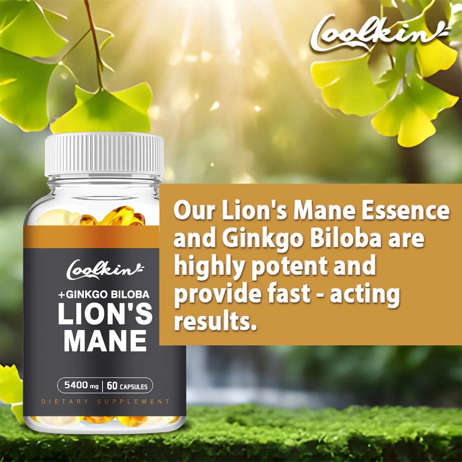 Lion's Mane Mushroom - Enhance Brain Function, Improve Memory & Cognition, Improve Mood, and Sleep Health - 60 Capsules Nova Trendz