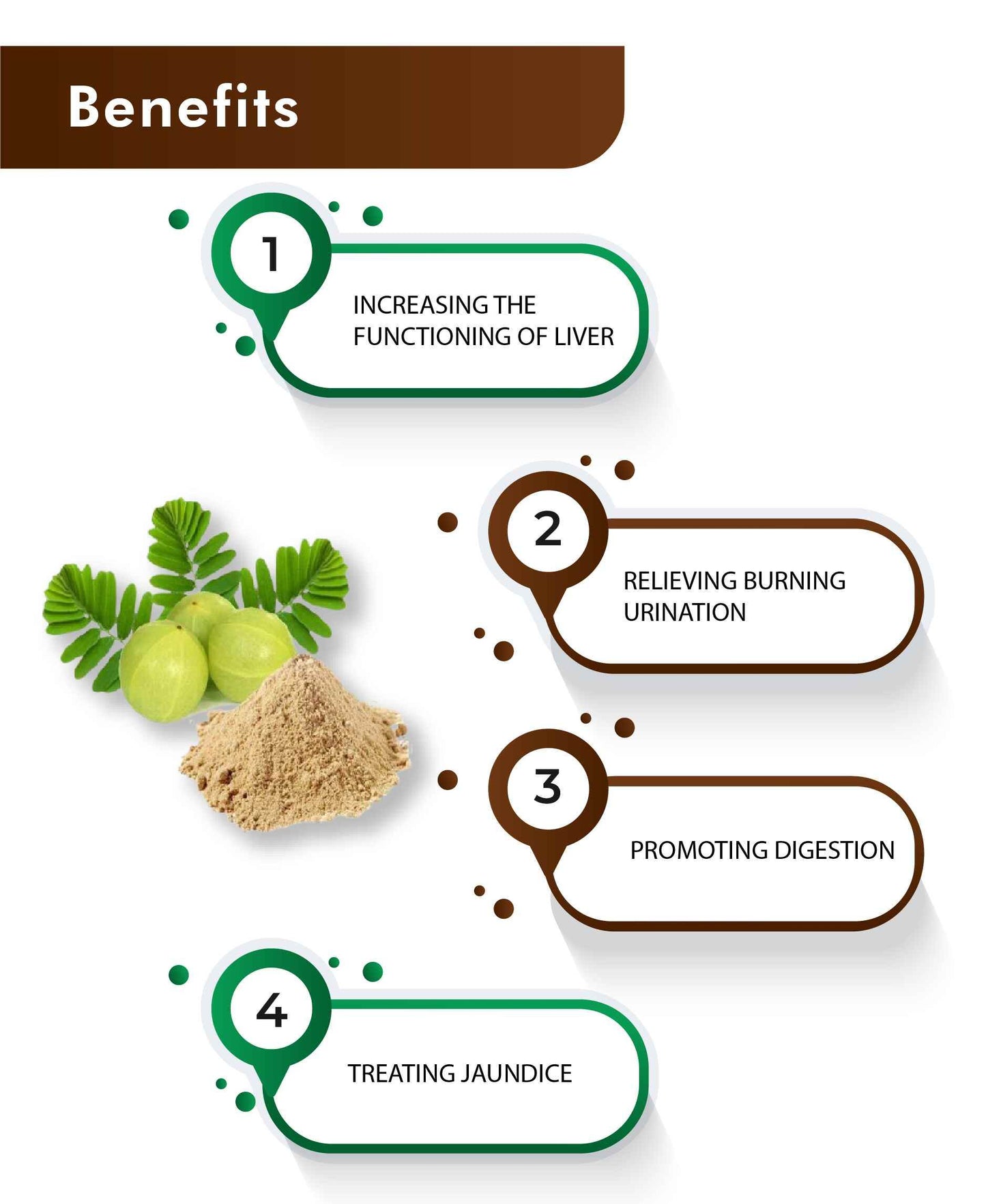 H&C Bhoomi Amla Tablets – Boost Immunity Naturally with Ayurvedic Amla Supplement