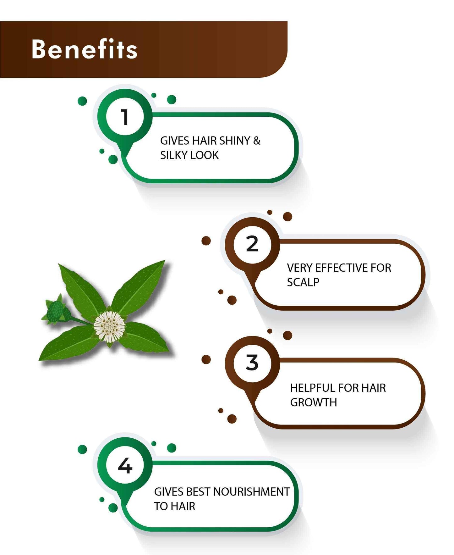 H&C Bhringraj Tablet - Natural Ayurvedic Hair Growth & Wellness Supplement