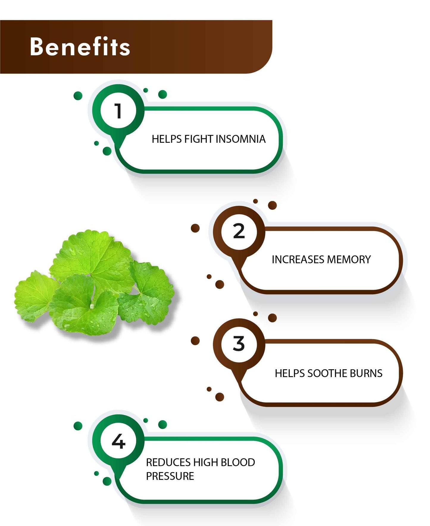 H&C Brahmi Tablets – Natural Ayurvedic Memory Booster & Brain Tonic