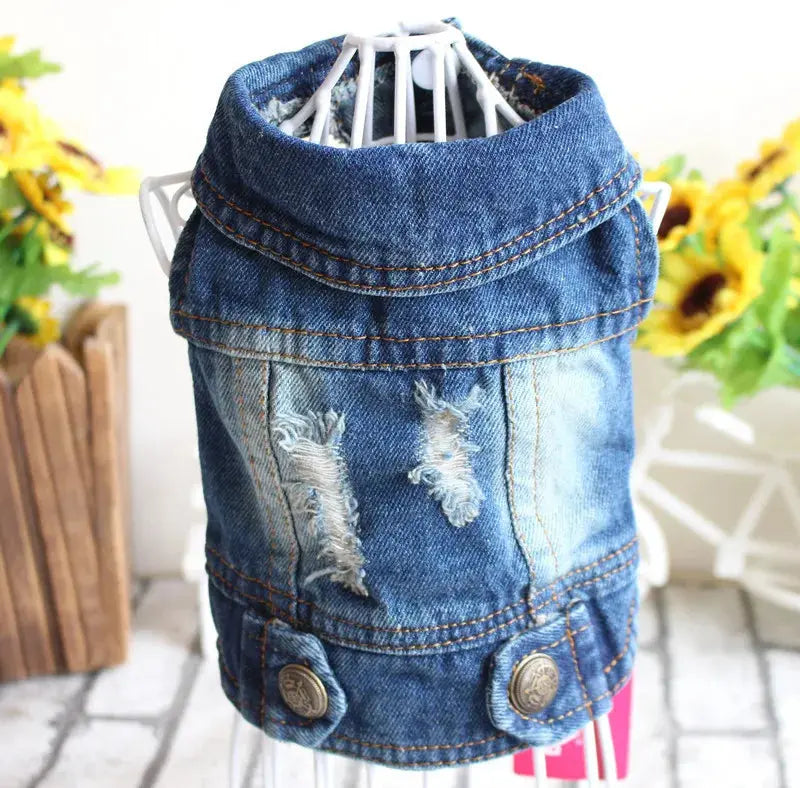 Denim Dog Clothes for Pitbulls Dachshund Fashion Dog Jeans Jacket  Blue Cowboy T-shirt for Shih Tzu Cool Apparel for Small Dogs - Nova Trendz