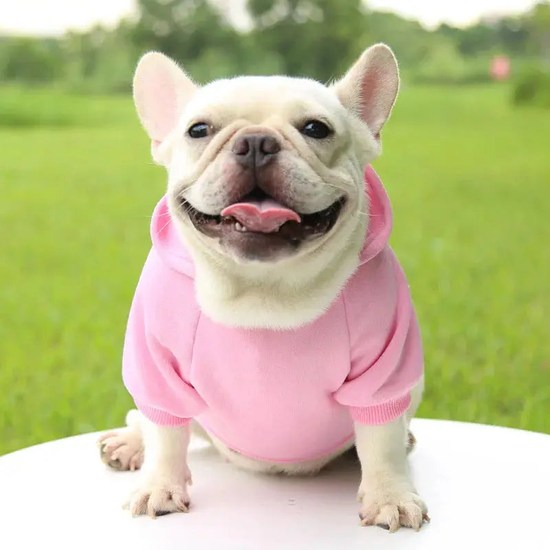 Warm Pet Clothes For Cats Clothing Autumn Winter Clothing for Cats Coat Puppy Outfit Cats Clothes for Cat Hoodies mascotas 8Y45 - Nova Trendz