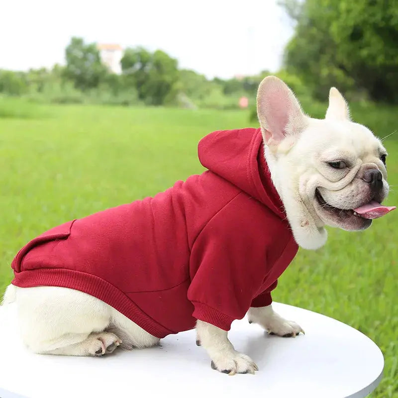 Warm Pet Clothes For Cats Clothing Autumn Winter Clothing for Cats Coat Puppy Outfit Cats Clothes for Cat Hoodies mascotas 8Y45 - Nova Trendz