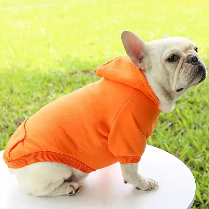 Warm Pet Clothes For Cats Clothing Autumn Winter Clothing for Cats Coat Puppy Outfit Cats Clothes for Cat Hoodies mascotas 8Y45 - Nova Trendz