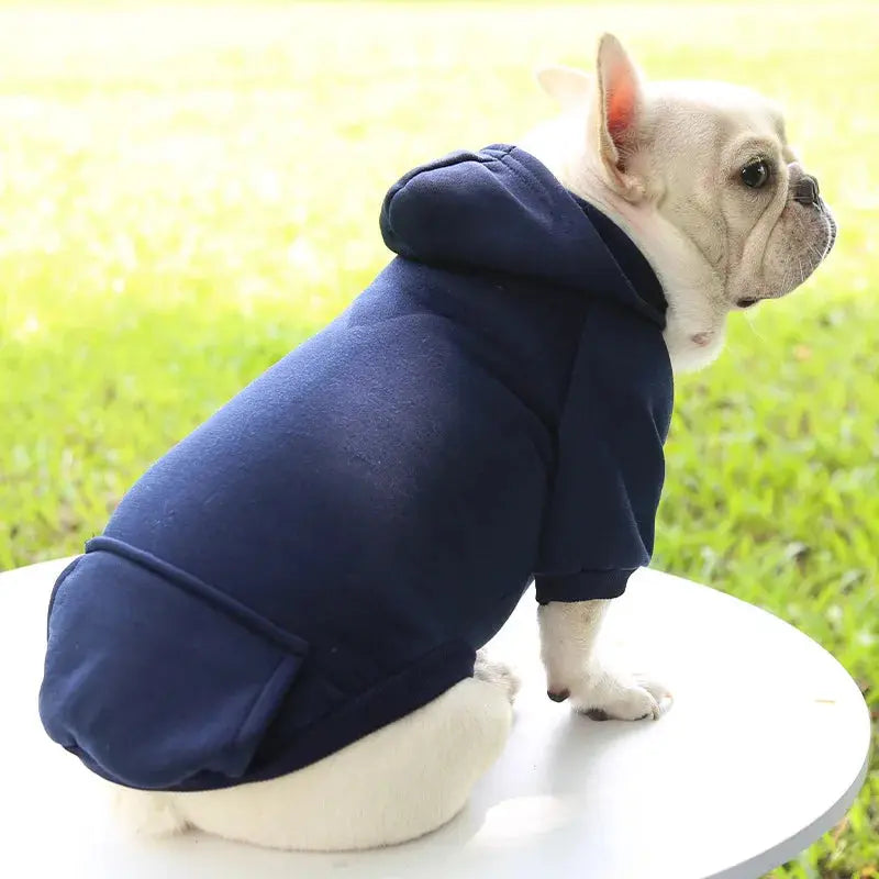 Warm Pet Clothes For Cats Clothing Autumn Winter Clothing for Cats Coat Puppy Outfit Cats Clothes for Cat Hoodies mascotas 8Y45 - Nova Trendz