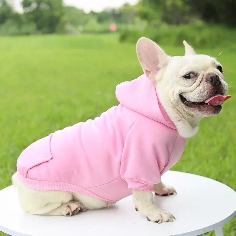 Warm Pet Clothes For Cats Clothing Autumn Winter Clothing for Cats Coat Puppy Outfit Cats Clothes for Cat Hoodies mascotas 8Y45 - Nova Trendz