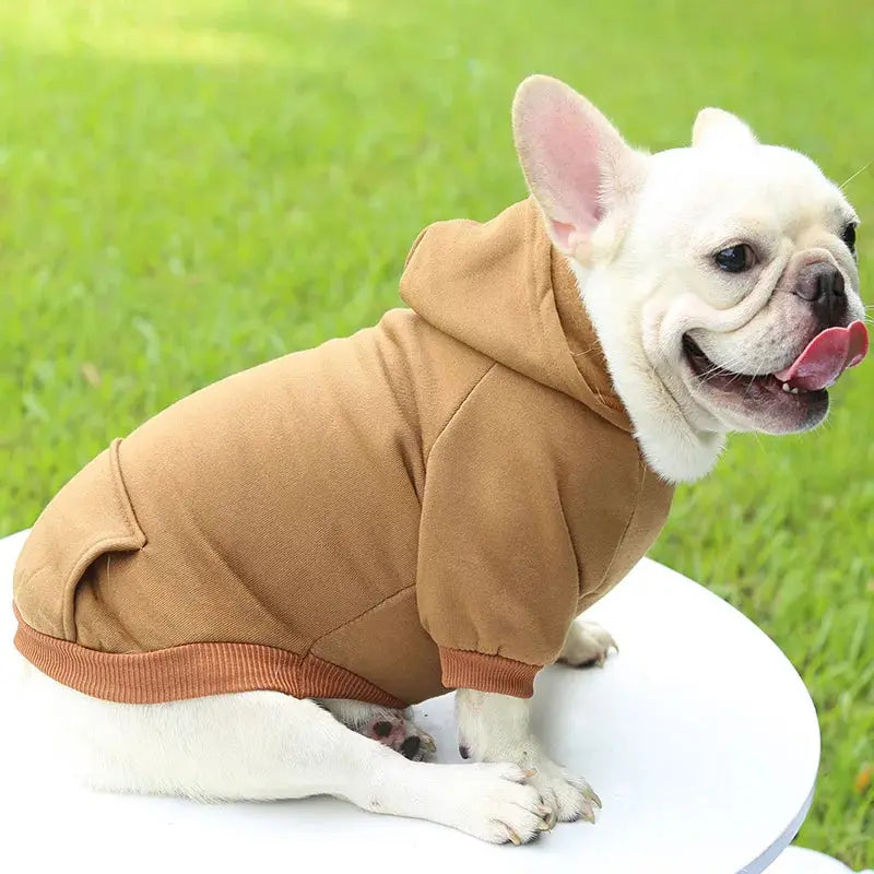 Warm Pet Clothes For Cats Clothing Autumn Winter Clothing for Cats Coat Puppy Outfit Cats Clothes for Cat Hoodies mascotas 8Y45 - Nova Trendz