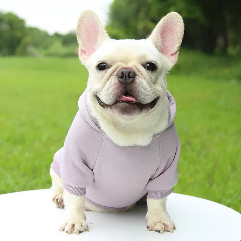 Warm Pet Clothes For Cats Clothing Autumn Winter Clothing for Cats Coat Puppy Outfit Cats Clothes for Cat Hoodies mascotas 8Y45 - Nova Trendz