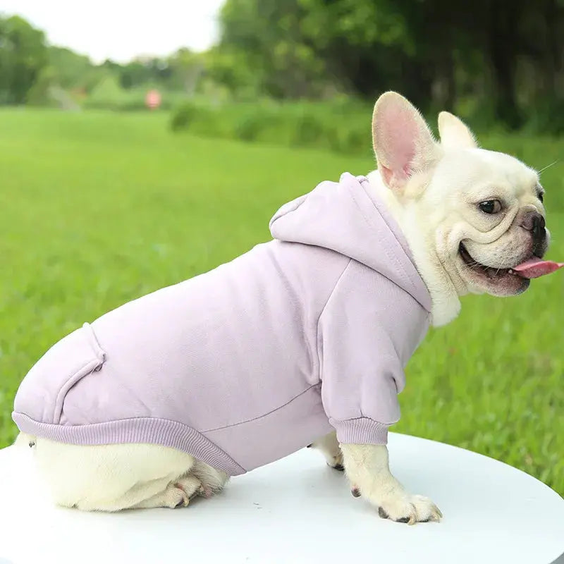 Warm Pet Clothes For Cats Clothing Autumn Winter Clothing for Cats Coat Puppy Outfit Cats Clothes for Cat Hoodies mascotas 8Y45 - Nova Trendz