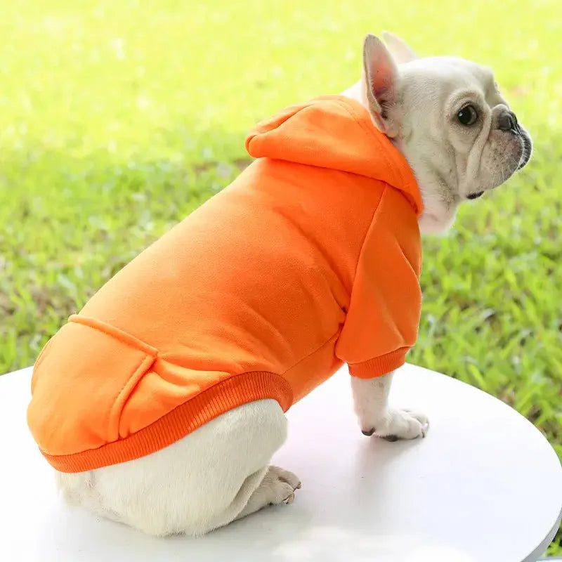 Warm Pet Clothes For Cats Clothing Autumn Winter Clothing for Cats Coat Puppy Outfit Cats Clothes for Cat Hoodies mascotas 8Y45 - Nova Trendz