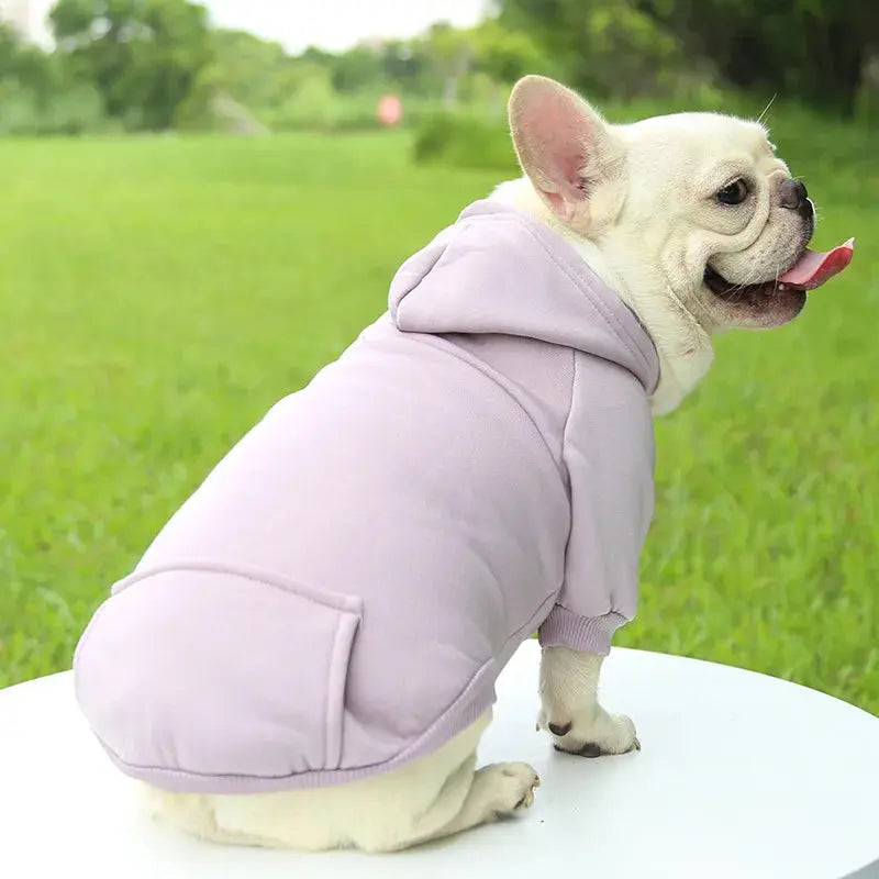 Warm Pet Clothes For Cats Clothing Autumn Winter Clothing for Cats Coat Puppy Outfit Cats Clothes for Cat Hoodies mascotas 8Y45 - Nova Trendz