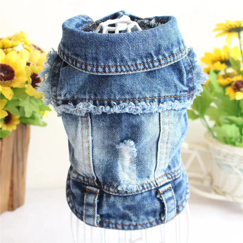 Denim Dog Clothes for Pitbulls Dachshund Fashion Dog Jeans Jacket  Blue Cowboy T-shirt for Shih Tzu Cool Apparel for Small Dogs - Nova Trendz