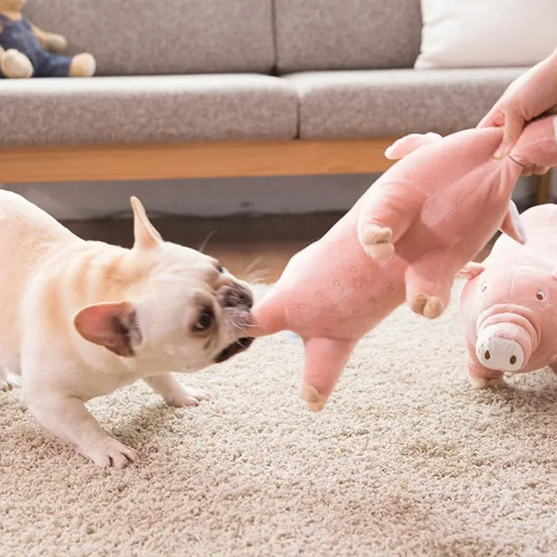 Cute Plush Pig French Bulldog Chew Toys for Dogs Bite-resistant Pet Dog Toy Venting Doll Sleeping with Animals Mascotas Supplies Nova Trendz