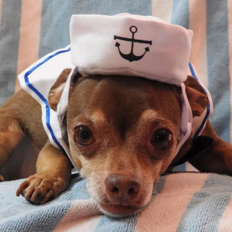 Funny Pet Cat Costumes Cat Dog Rabbit Apparel Clothes For Halloween Cosplay Navy Sailor Costumes Jacket Cloak Dog Accessories Nova Trendz
