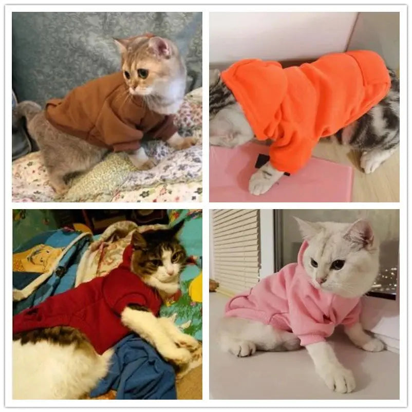 Warm Pet Clothes For Cats Clothing Autumn Winter Clothing for Cats Coat Puppy Outfit Cats Clothes for Cat Hoodies mascotas 8Y45 - Nova Trendz