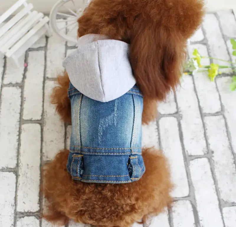 Denim Dog Clothes for Pitbulls Dachshund Fashion Dog Jeans Jacket  Blue Cowboy T-shirt for Shih Tzu Cool Apparel for Small Dogs - Nova Trendz
