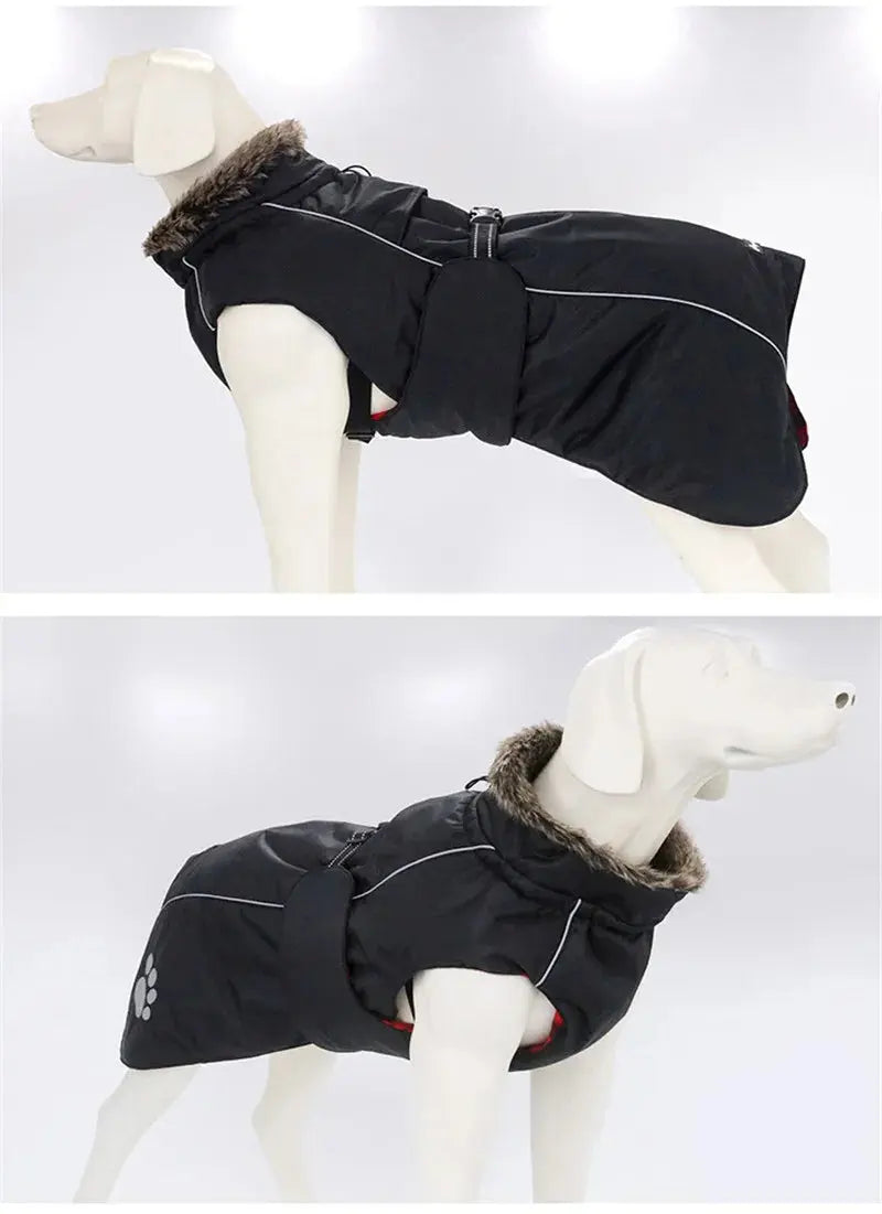 Pet Dog Clothes For Large Big Dogs Winter Warm Big Dog Jackets Padded Fleece Pet Coat Waterproof Design Dog Clothing Ropa Perro Nova Trendz