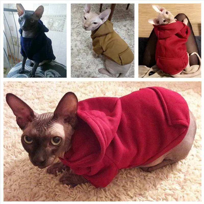 Warm Pet Clothes For Cats Clothing Autumn Winter Clothing for Cats Coat Puppy Outfit Cats Clothes for Cat Hoodies mascotas 8Y45 - Nova Trendz