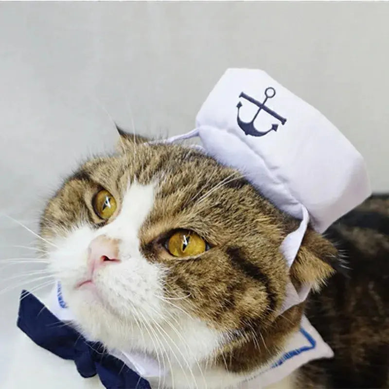 Funny Pet Cat Costumes Cat Dog Rabbit Apparel Clothes For Halloween Cosplay Navy Sailor Costumes Jacket Cloak Dog Accessories Nova Trendz
