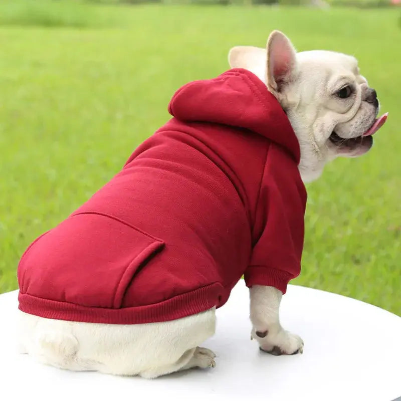 Warm Pet Clothes For Cats Clothing Autumn Winter Clothing for Cats Coat Puppy Outfit Cats Clothes for Cat Hoodies mascotas 8Y45 - Nova Trendz