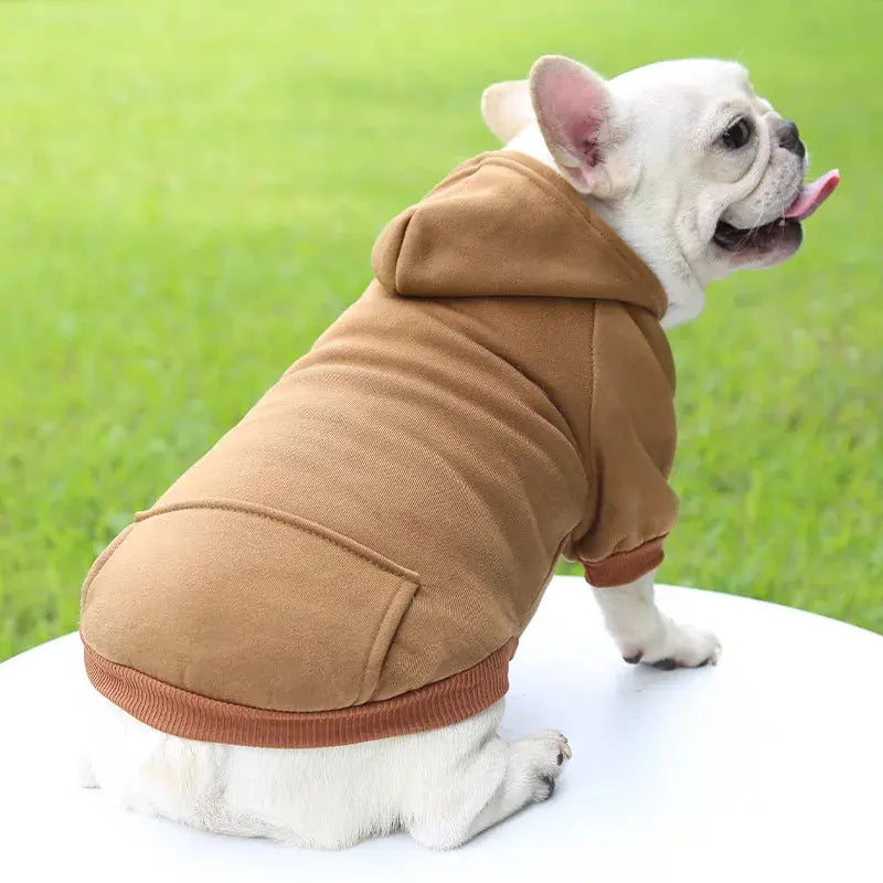Warm Pet Clothes For Cats Clothing Autumn Winter Clothing for Cats Coat Puppy Outfit Cats Clothes for Cat Hoodies mascotas 8Y45 - Nova Trendz