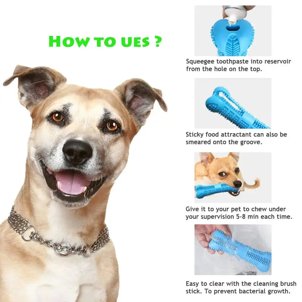 Soft Rubber Dog Toothbrushes Puppy Toys Dog Brush Stick 360 Degree Teeth Cleaning Toothpaste for Small Dogs Pet Toothbrush - Nova Trendz