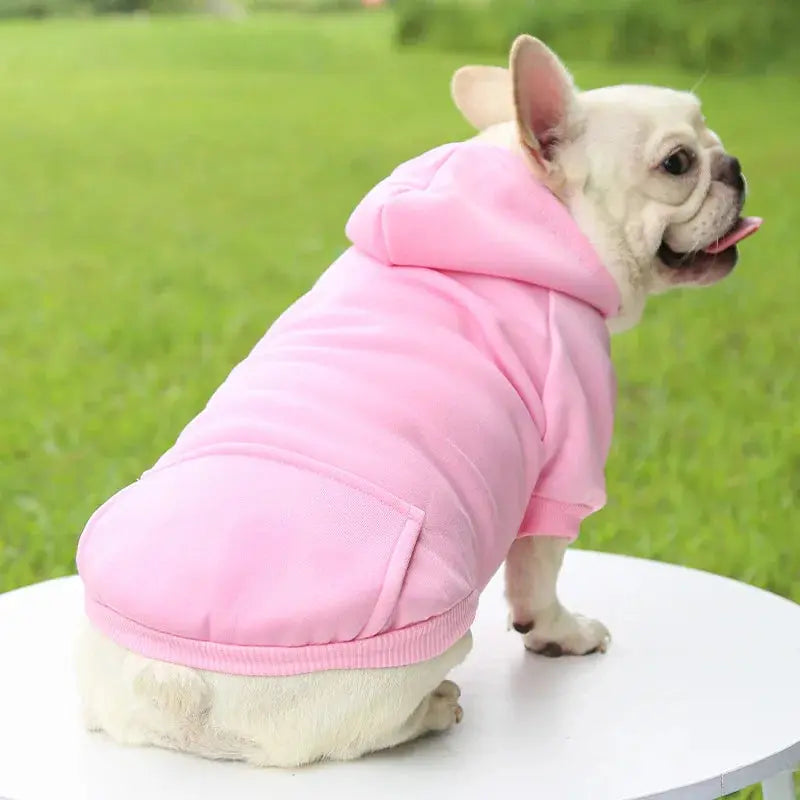 Warm Pet Clothes For Cats Clothing Autumn Winter Clothing for Cats Coat Puppy Outfit Cats Clothes for Cat Hoodies mascotas 8Y45 - Nova Trendz