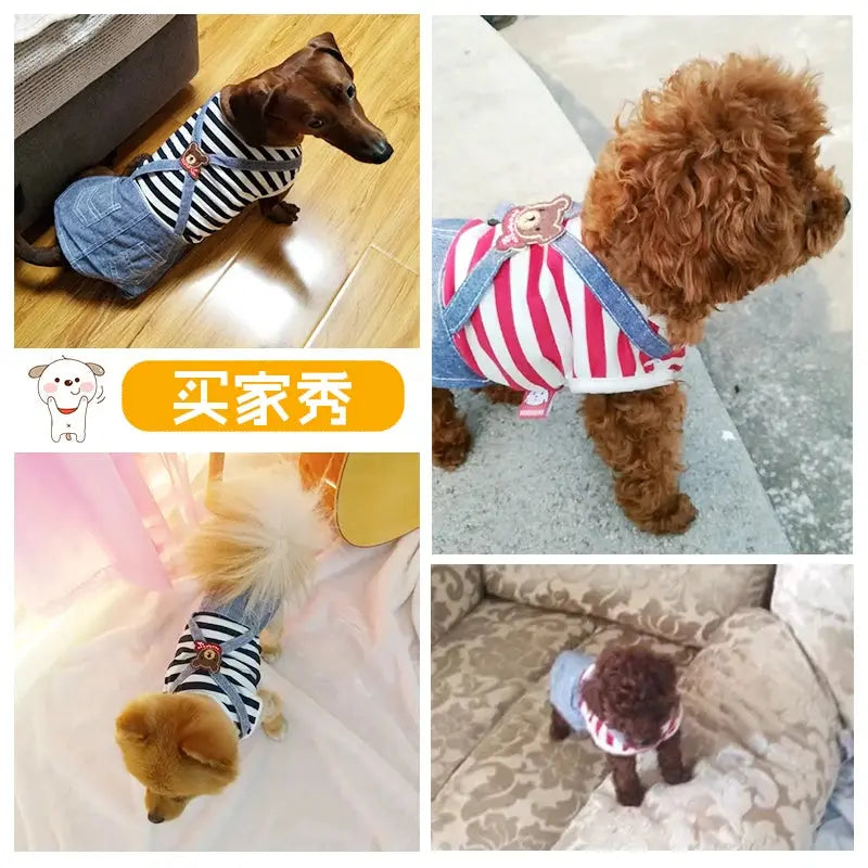 Cute Pets Clothes For Yorkshire Terrier Dogs Little Puppies Small Animals Breeds Striped Summer Wedding Princess Cats Dresses - Nova Trendz