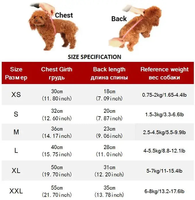 Denim Dog Clothes for Pitbulls Dachshund Fashion Dog Jeans Jacket  Blue Cowboy T-shirt for Shih Tzu Cool Apparel for Small Dogs - Nova Trendz