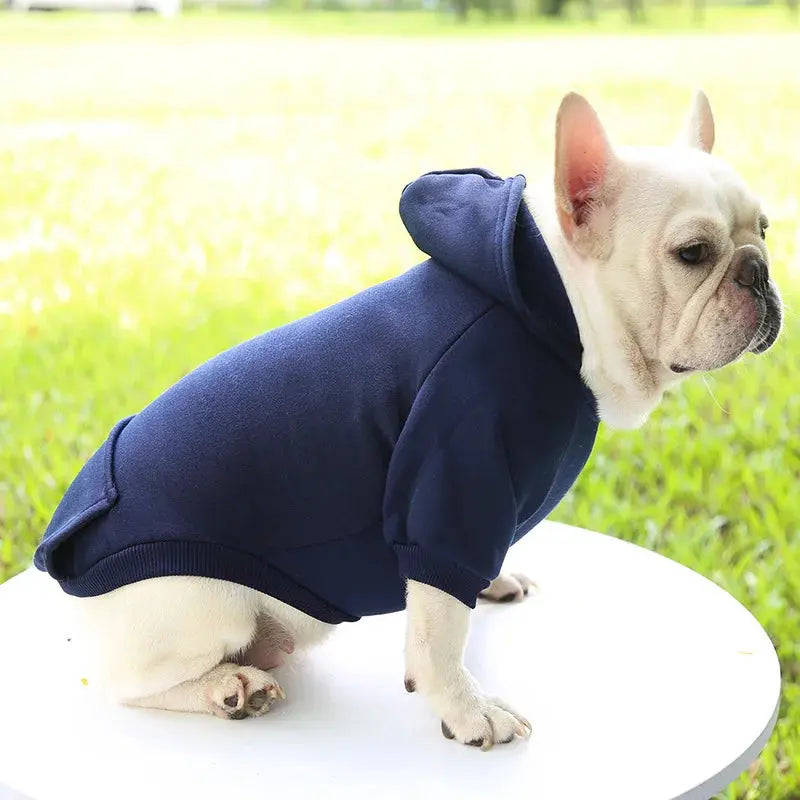 Warm Pet Clothes For Cats Clothing Autumn Winter Clothing for Cats Coat Puppy Outfit Cats Clothes for Cat Hoodies mascotas 8Y45 - Nova Trendz